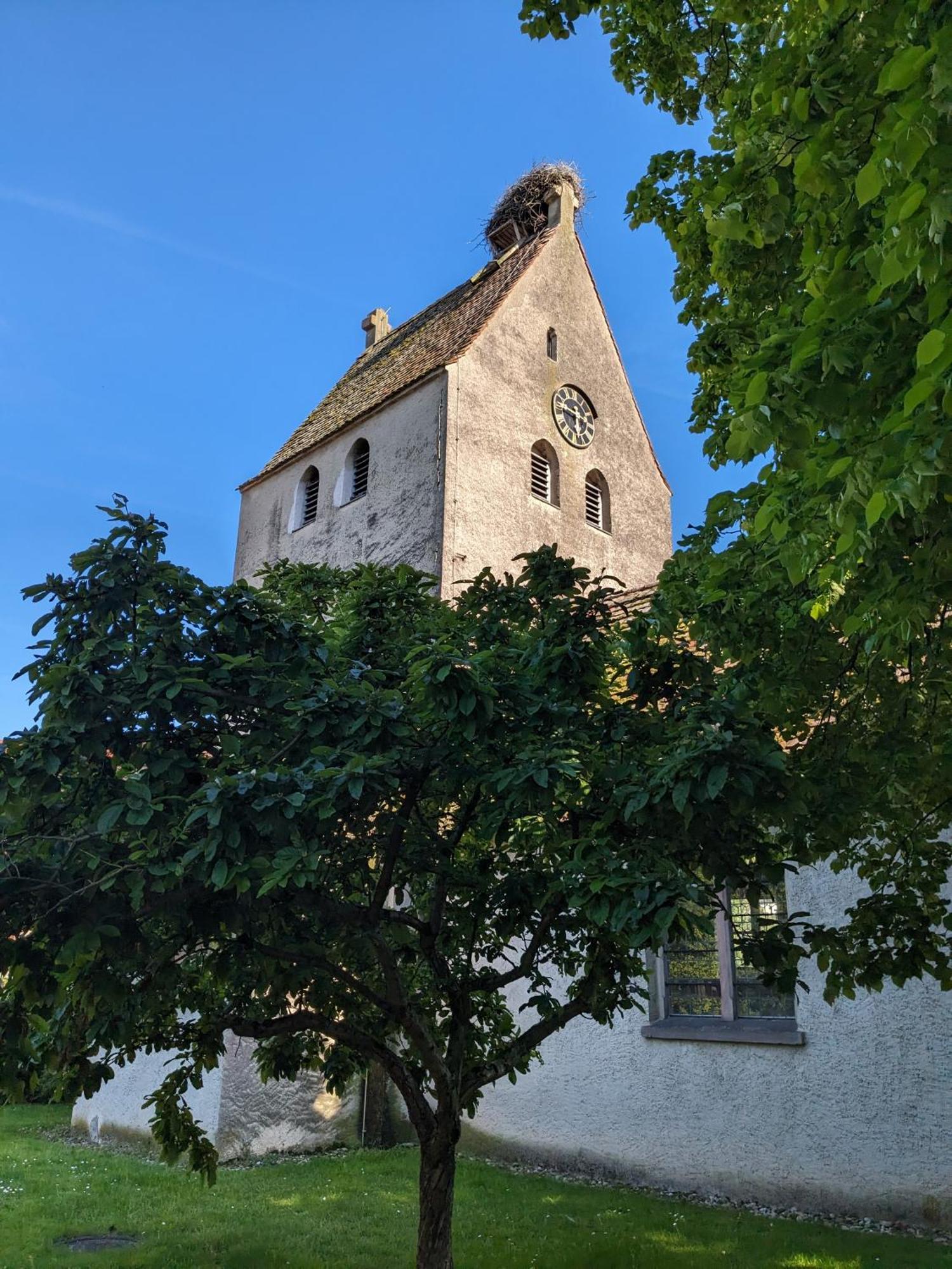 Badischer Neubau-Ruhe-Kunst-Natur Райнау Экстерьер фото